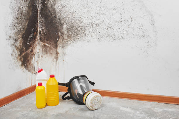 Best Industrial Mold Remediation in Dunes City, OR
